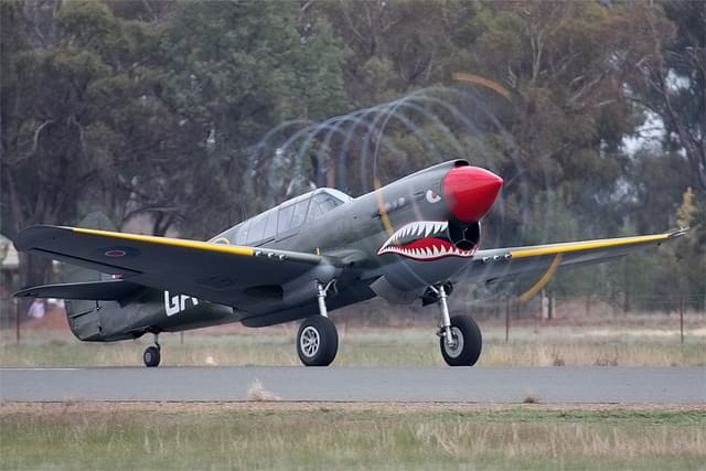  - Warbird