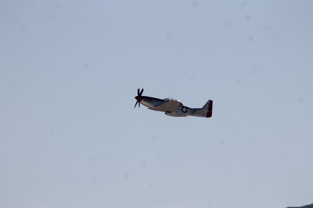 N51ZM - Warbird