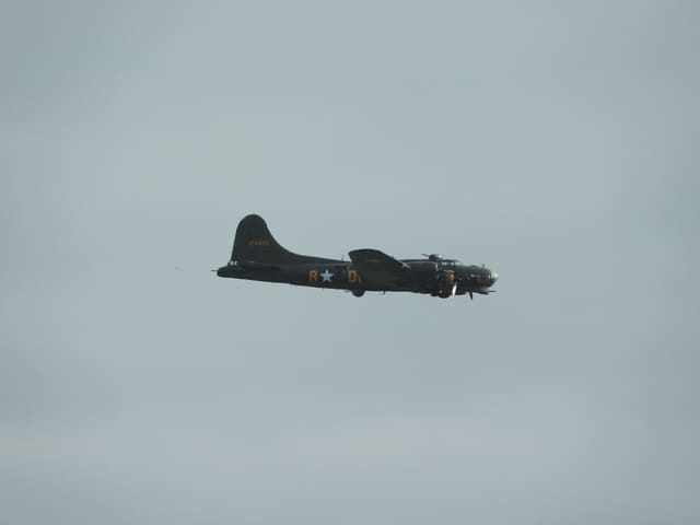  - Warbird