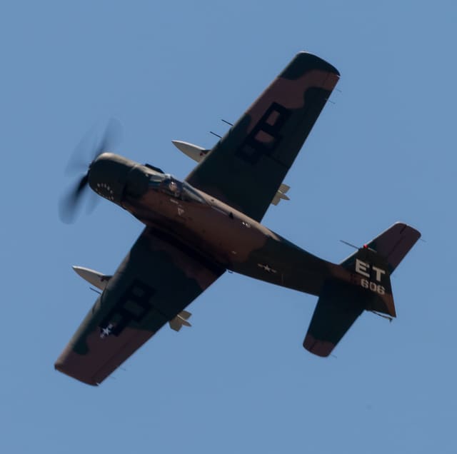 N39606 - Single-engine aircraft