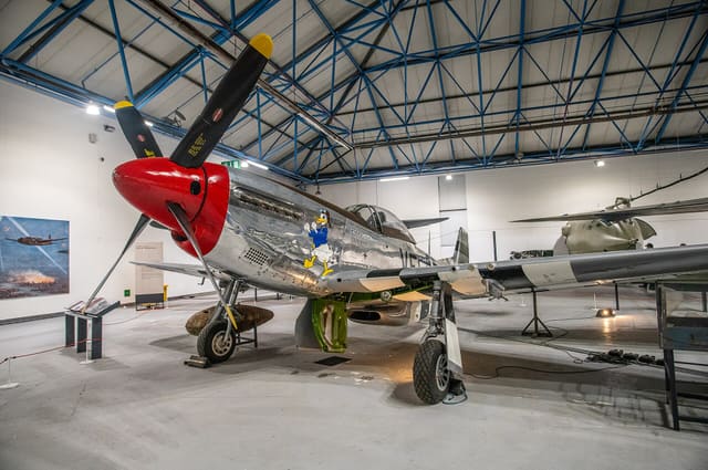  - Warbird