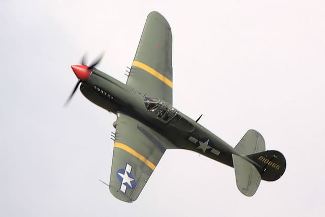 - Warbird