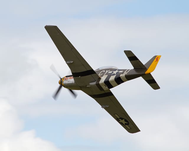 N251RJ - Warbird