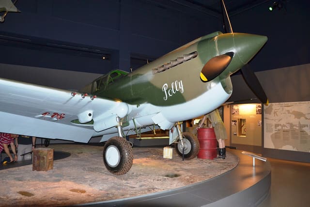  - Warbird