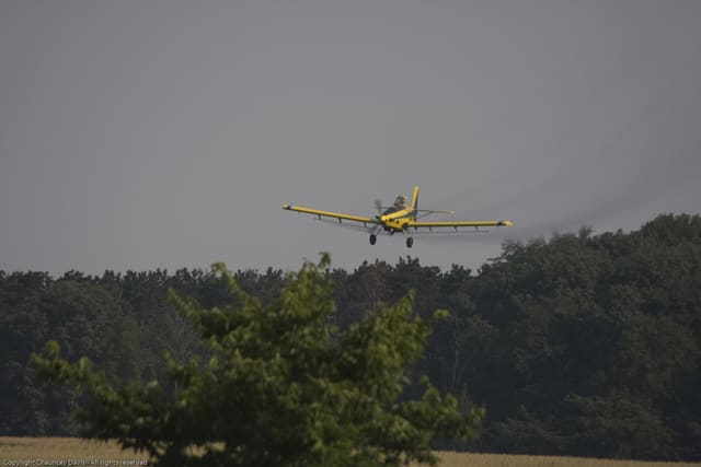 N1531G - Single-engine aircraft