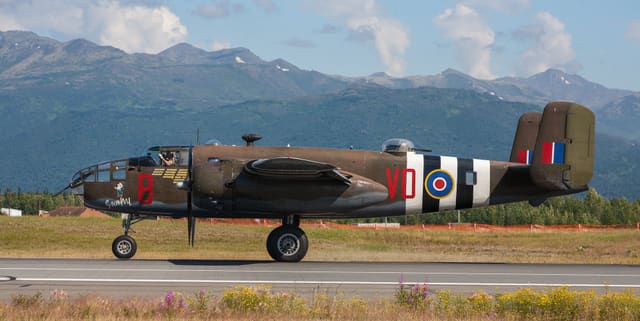  - Warbird