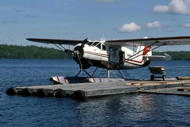 C-FJEC - Single-engine aircraft