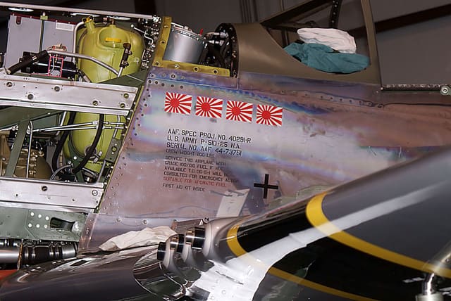  - Warbird