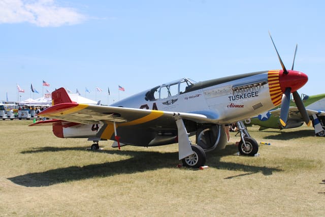  - Warbird