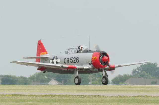 N85696 - Warbird