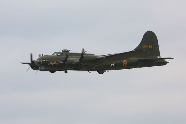  - Warbird