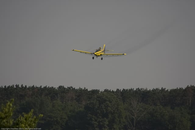N1531G - Single-engine aircraft