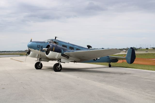N4207 - Beech