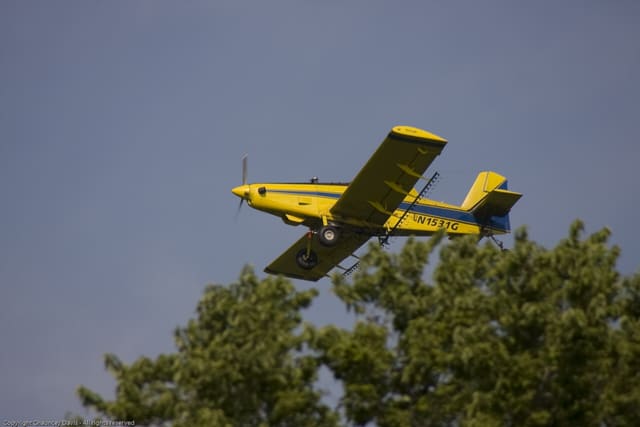 N1531G - Aircraft