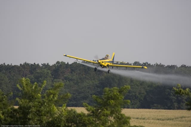 N1531G — Single-engine aircraft