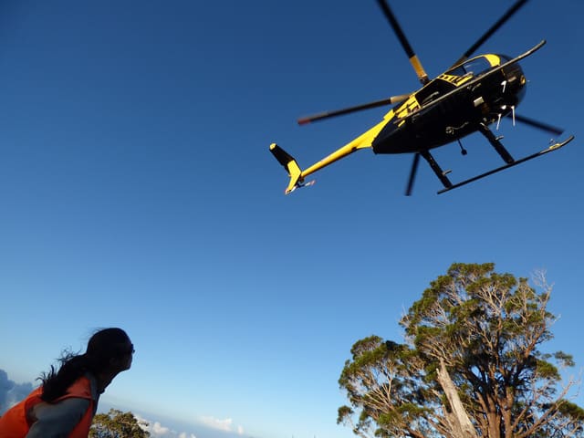 N811WA - Helicopter