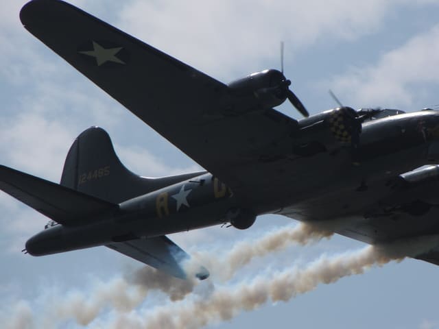  - Warbird