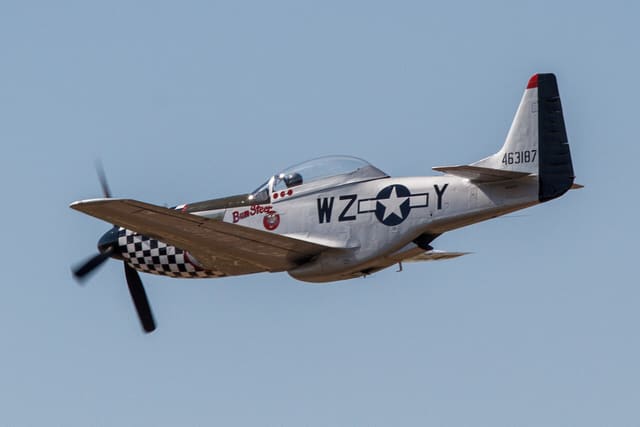  - Warbird