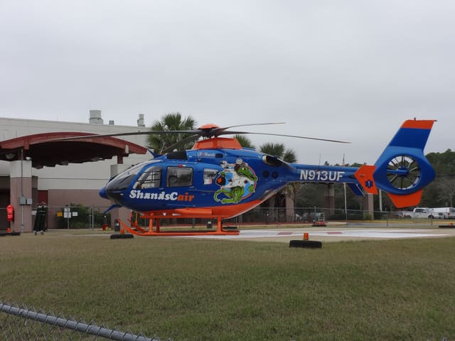 N913UF - Airbus