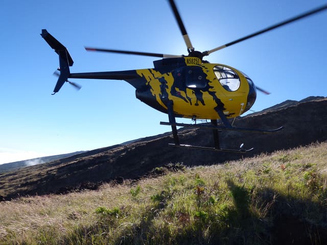 N58251 - Helicopter