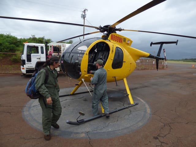 N809WA - Helicopter