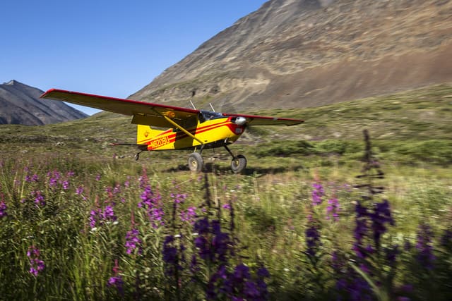 N8209U - Single-engine aircraft