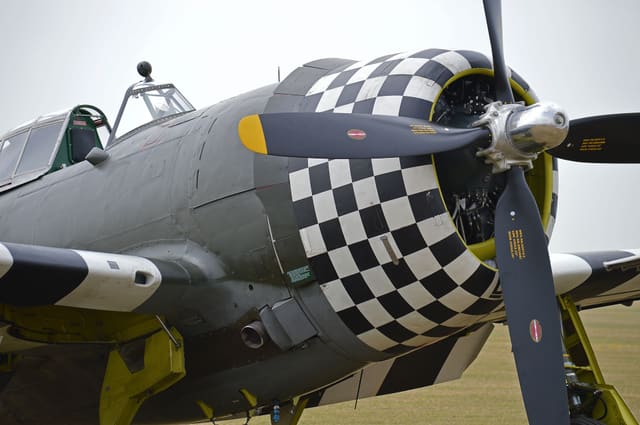  - Warbird