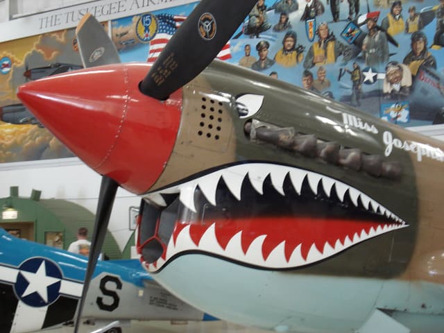  - Warbird