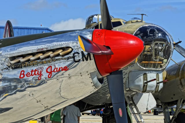  - Warbird