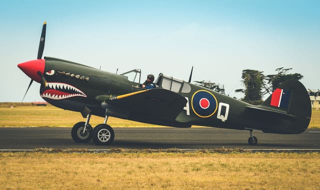  - Warbird