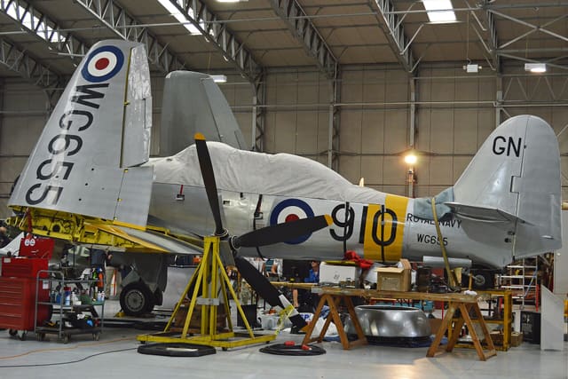  - Warbird