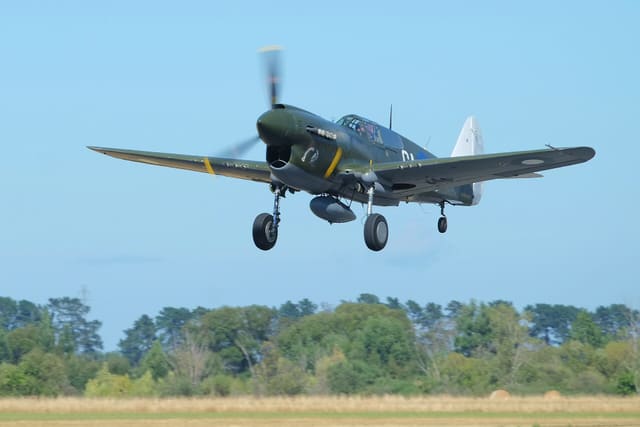  - Warbird