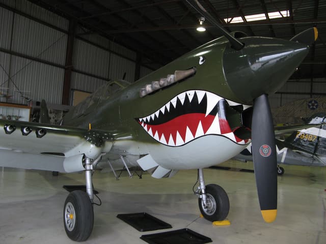  - Warbird