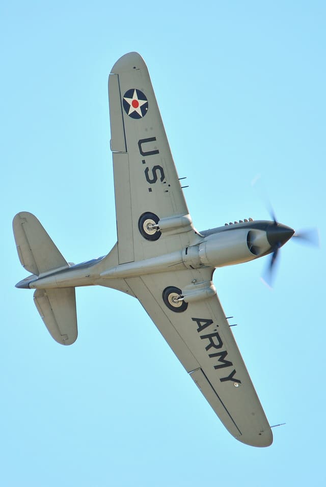  - Warbird