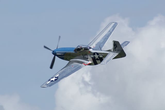  - Warbird