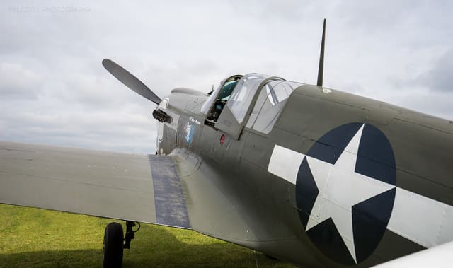  - Warbird