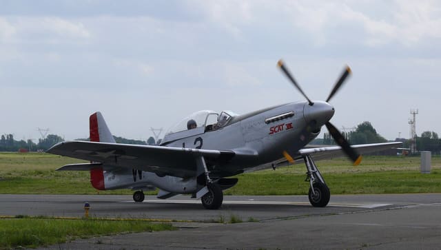  - Warbird