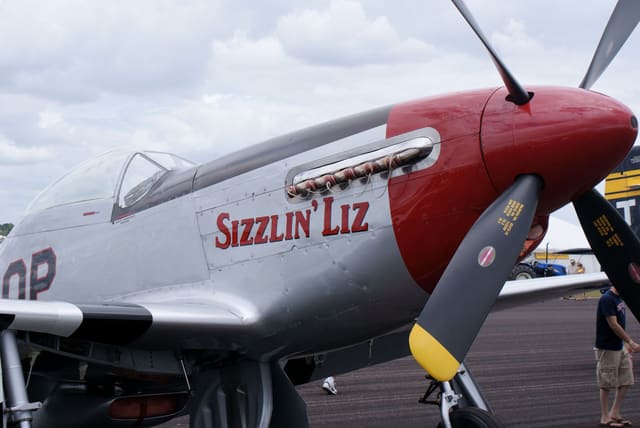  - Warbird