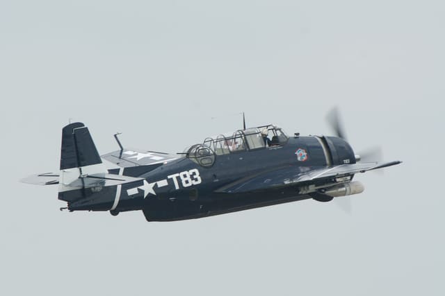N81865 - Single-engine aircraft