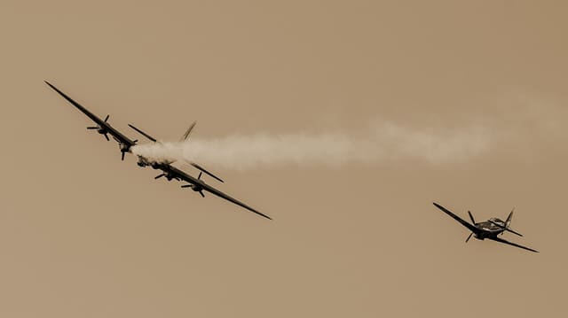  - Warbird
