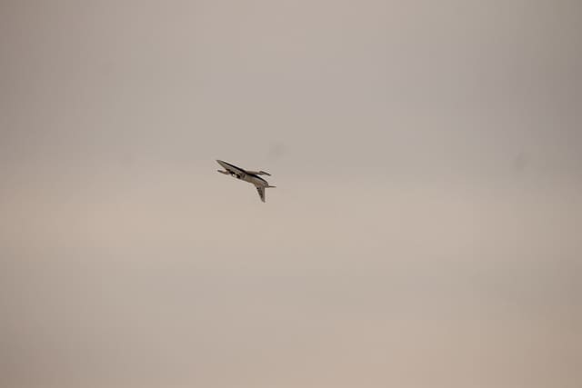 N139ES - Warbird