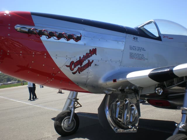  - Warbird