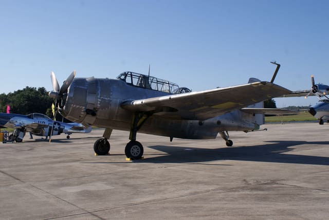  - Warbird