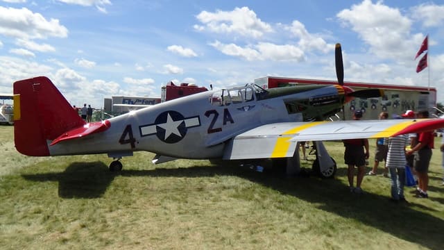  - Warbird
