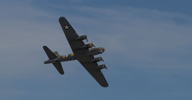  - Warbird