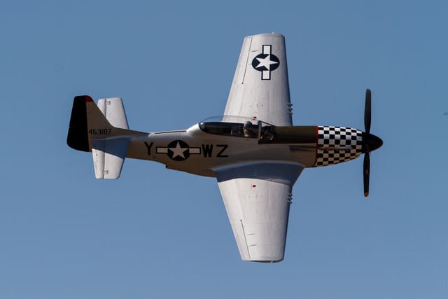  - Warbird