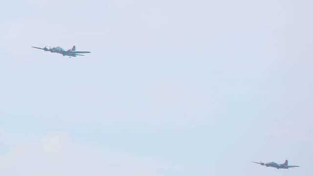  - Warbird