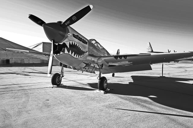  - Warbird