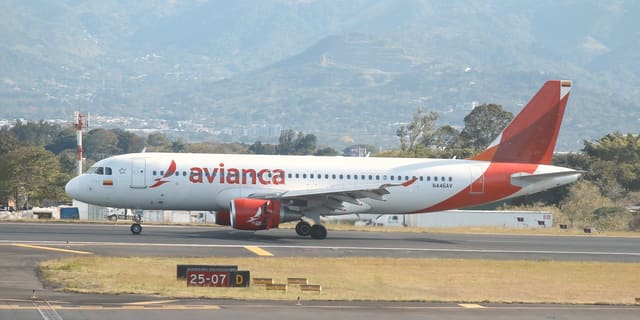 N446AV - Airbus