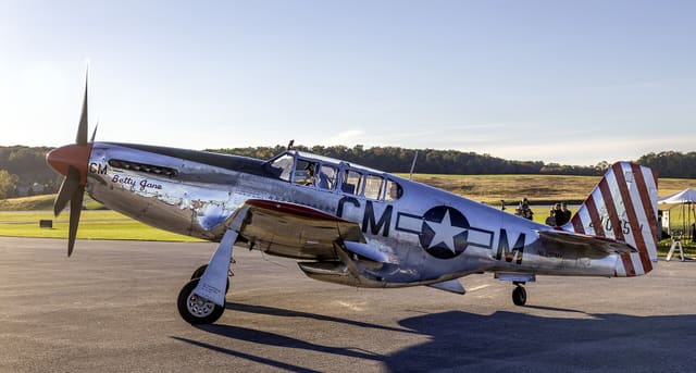 N251MX - Warbird